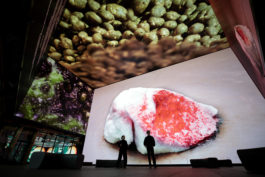 The Sugar Factory PR