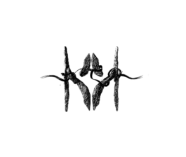 The Sugar Factory PR