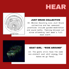 The Sugar Factory PR