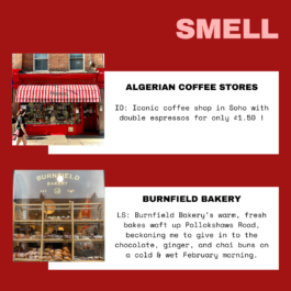 The Sugar Factory PR