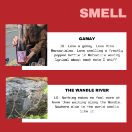 The Sugar Factory PR