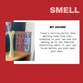 The Sugar Factory PR