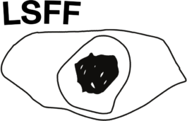 The Sugar Factory PR