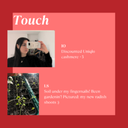 The Sugar Factory PR