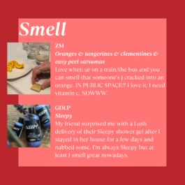 The Sugar Factory PR