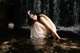 The Sugar Factory PR