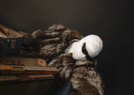 The Sugar Factory PR